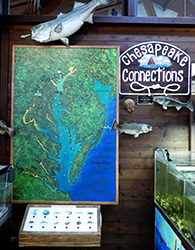 Map of Chesapeake Bay with push button board