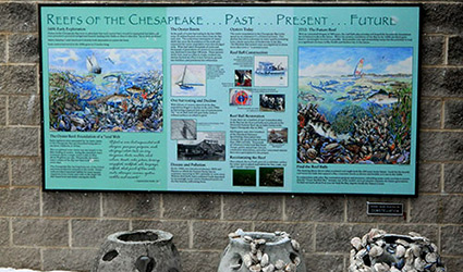 Wall display with three reef balls and oysters nearby