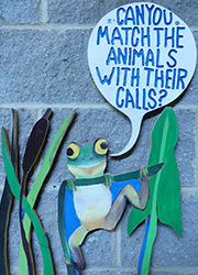 Painting of frog saying Can you match the animals with their calls?