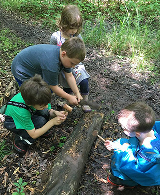 Kids investigating fallen tree trunk by hiking trail