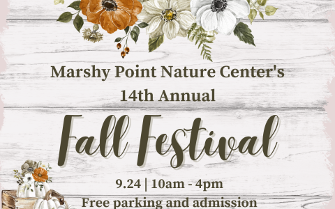 14th Annual Fall Festival