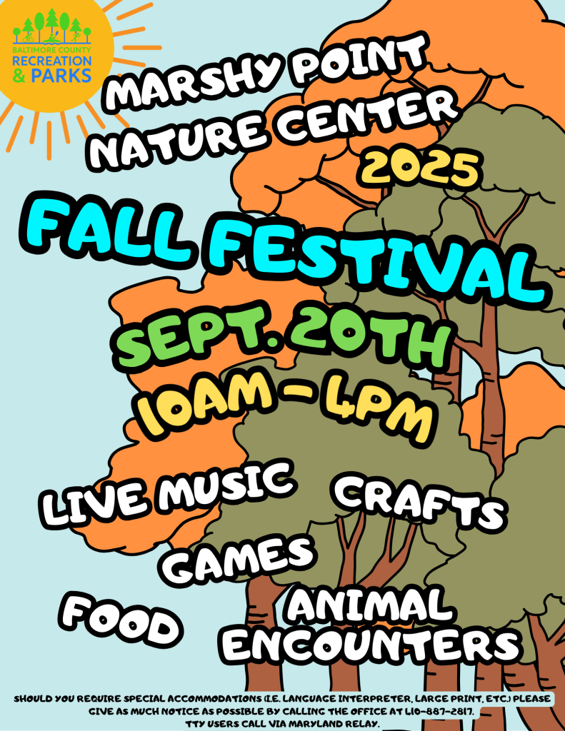 2025 Fall Fest Flyer