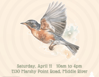 MPNC Spring Festival 2026