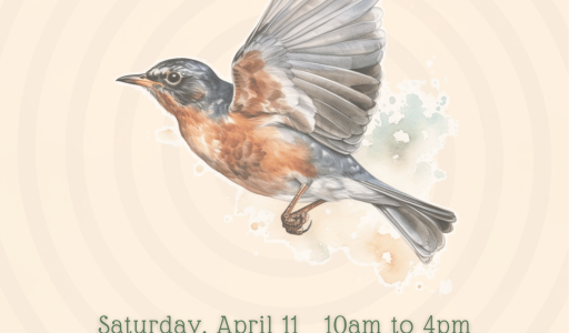 MPNC Spring Festival 2026