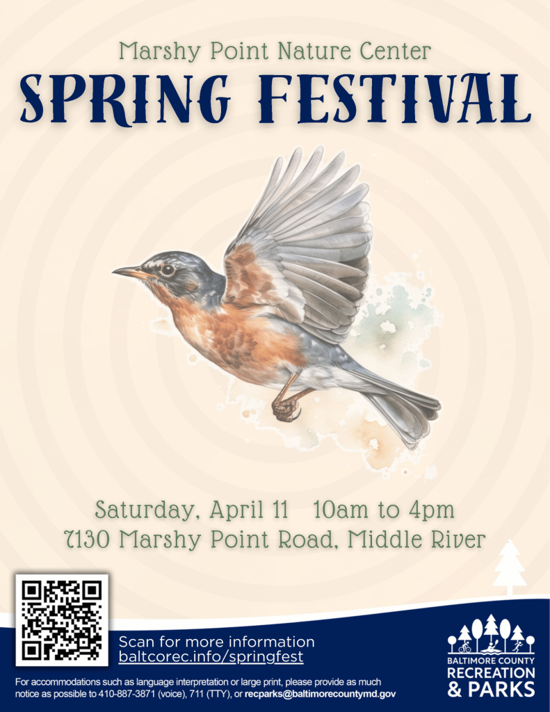 MPNC Spring Festival 2026