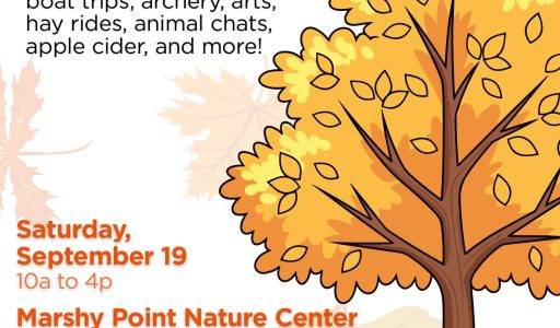 MPNC Fall Festival Flyer 2026