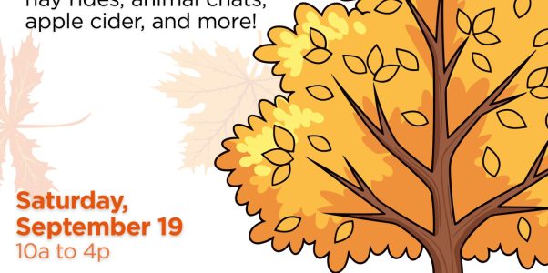 2026 Fall Festival
